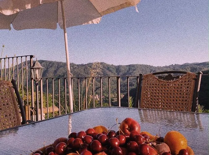 La Pianella Villa Lucca